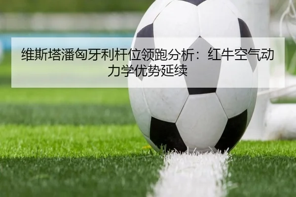 wei-si-ta-pan-xiong-ya-li-gan-wei-ling-pao-fen-xi-hong-niu-kong-qi-dong-li-xue-you-shi-yan-xu-2-311.jpg